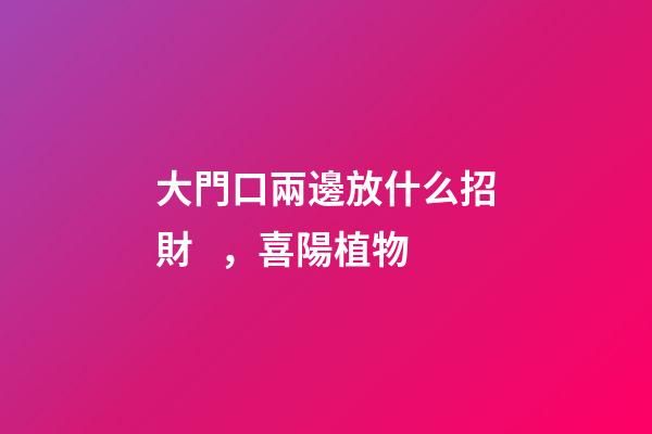 大門口兩邊放什么招財，喜陽植物